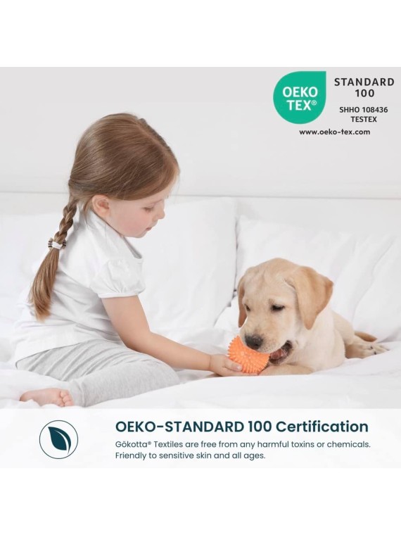 Queen Size Bed Sheets 6 Piece Set, 100% Rayon Derived from Bamboo, Cooling for Hot Sleepers-Luxury Breathable Soft Sheets, Deep Pocket 16